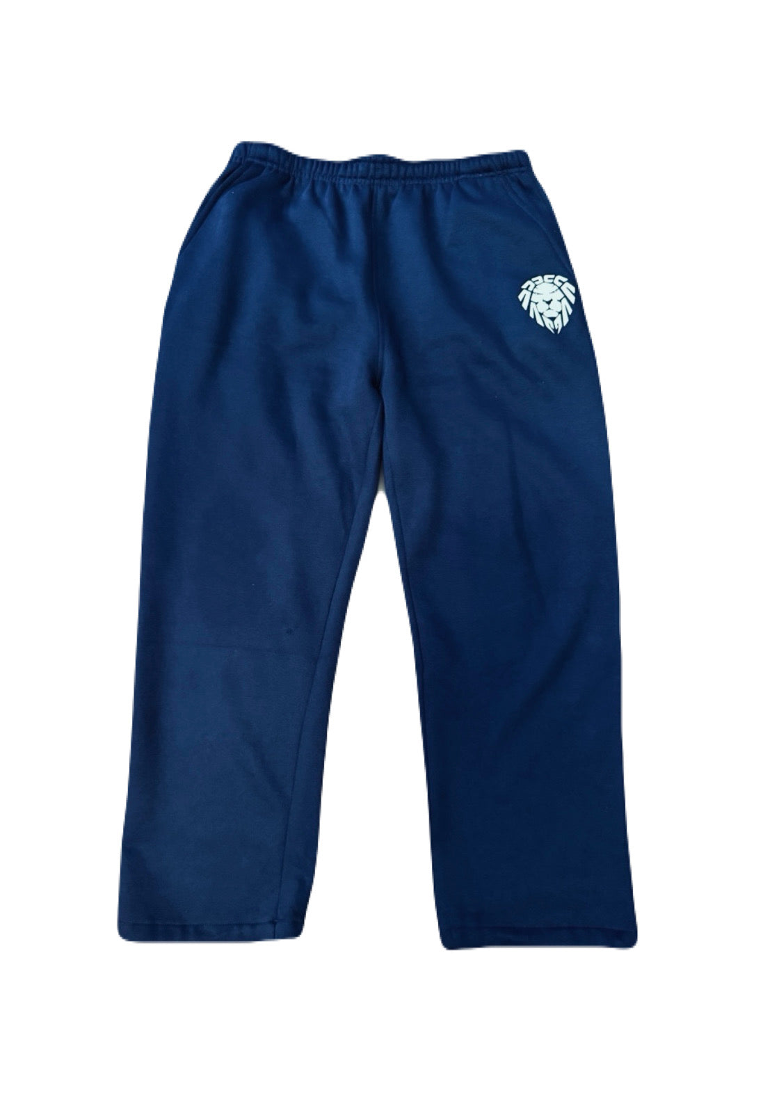 NAVY/WHITE JOGGER