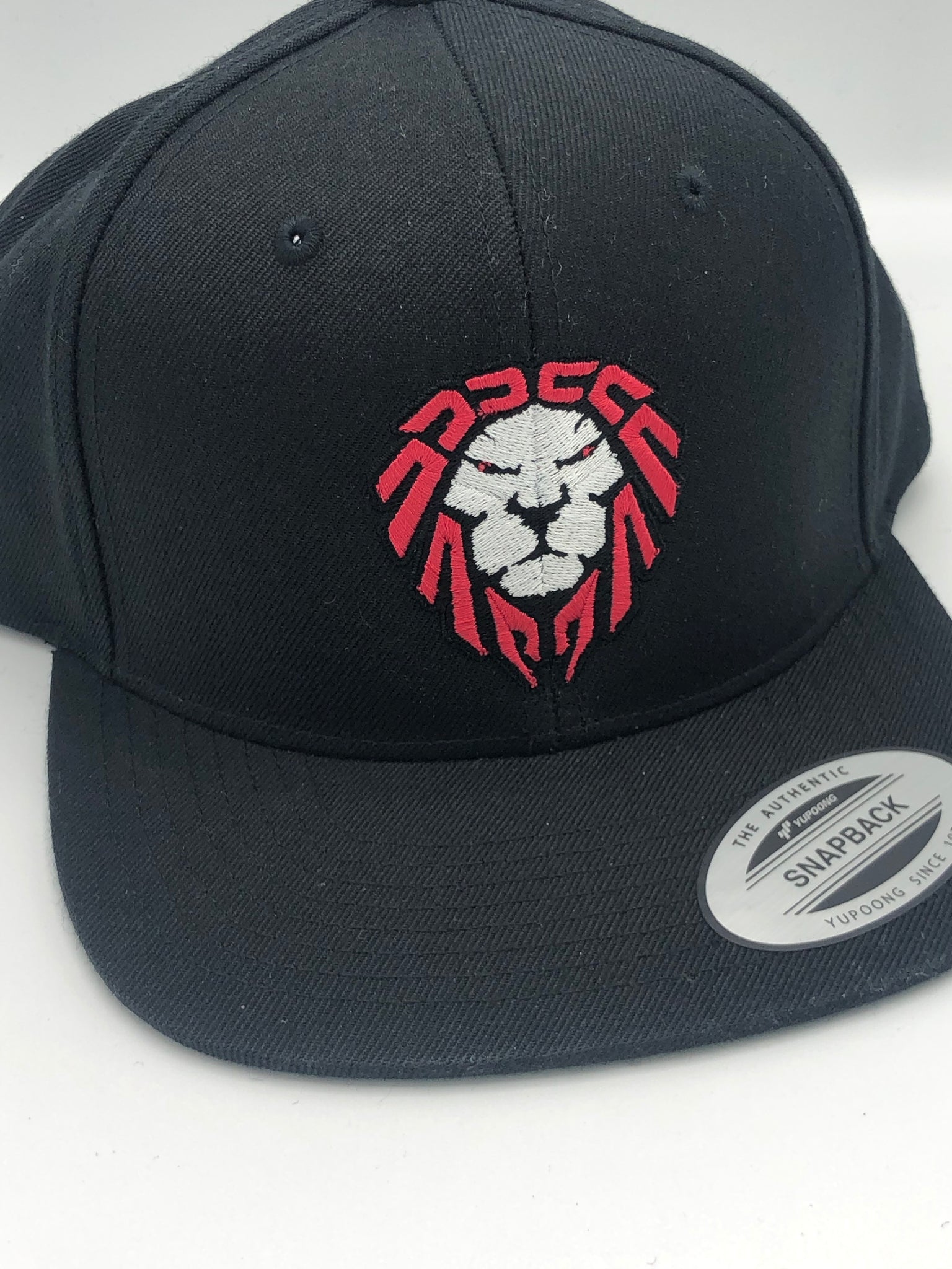 SNAPBACK HATS