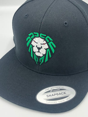 SNAPBACK HATS